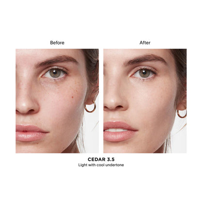 Vanish™ Airbrush Concealer