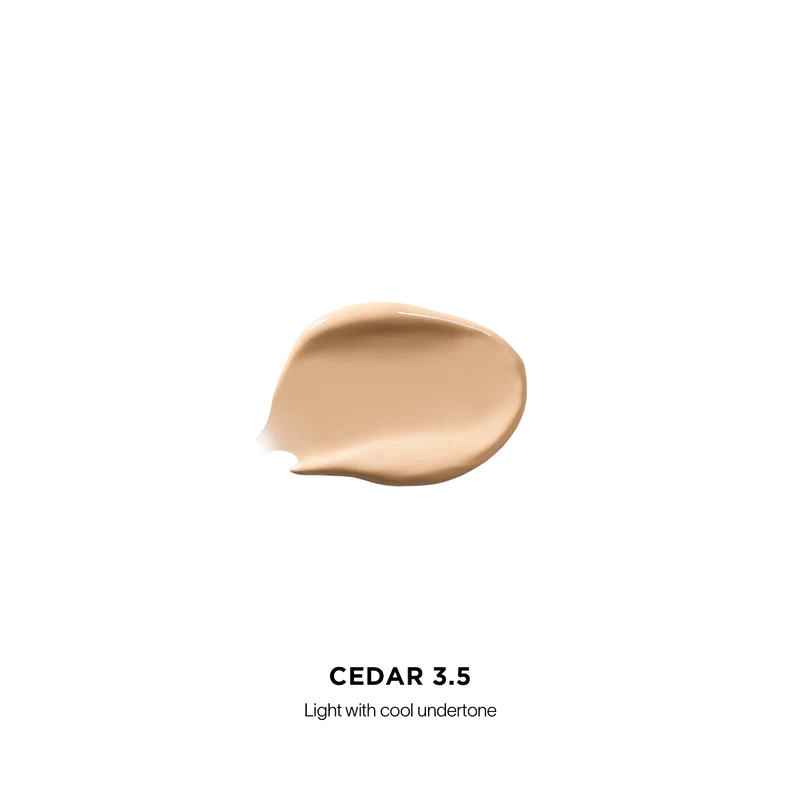 Vanish™ Airbrush Concealer