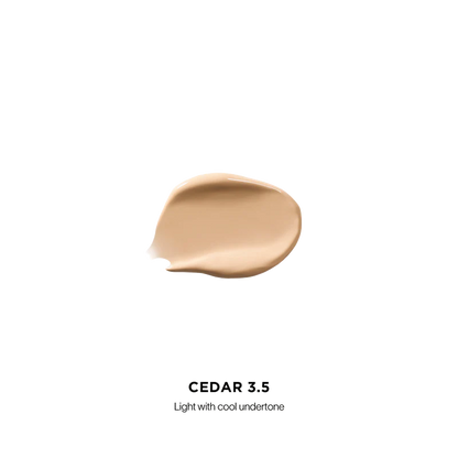 Vanish™ Airbrush Concealer